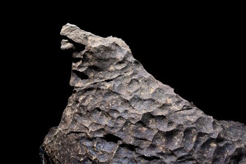 Grotte de Labouiche (Ariège) - Cette lame de rocher avec ses cupules est baptisée "le Loup"(SP-23-1688)